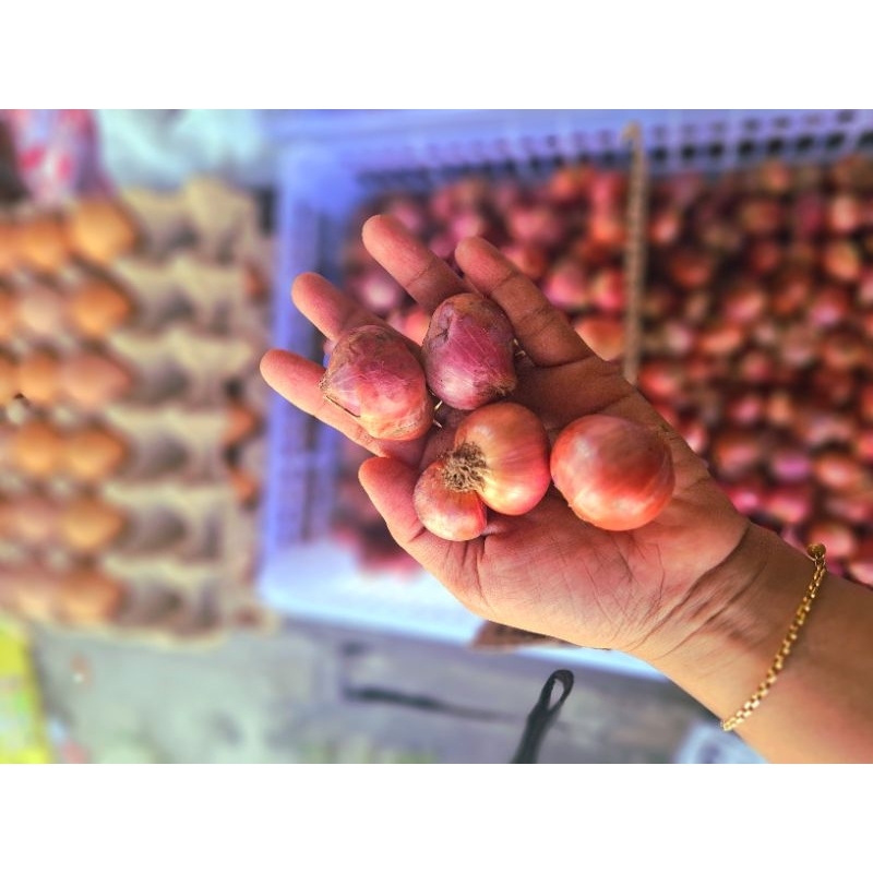 

BAWANG MERAH JUMBO