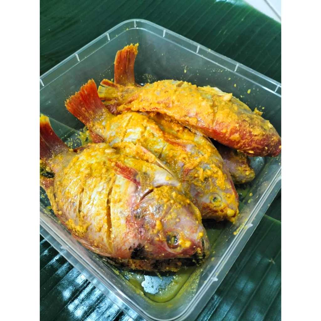 

Ikan Nila Bumbu Kuning 1Kg - 500Gr