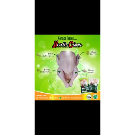 

AYAM ORGANIK PROBIOTIK, HALAL, BEBAS HORMON DAN BAHAN KIMIA, BESAR 0,9-1 KG