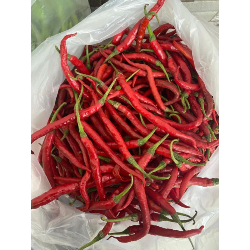 

Cabe Merah Kriting 1 Kg