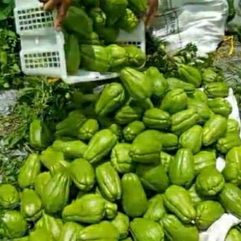 

labu siam berat 500gram