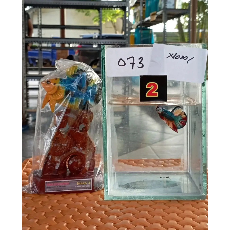 HMPK JUARA SIZE BABY