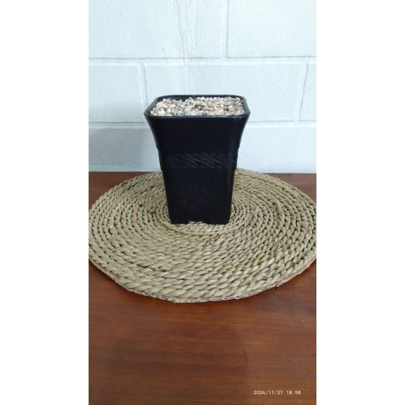 POT / VAS KOTAK SOFI 8CM HITAM + BUSA + BATU