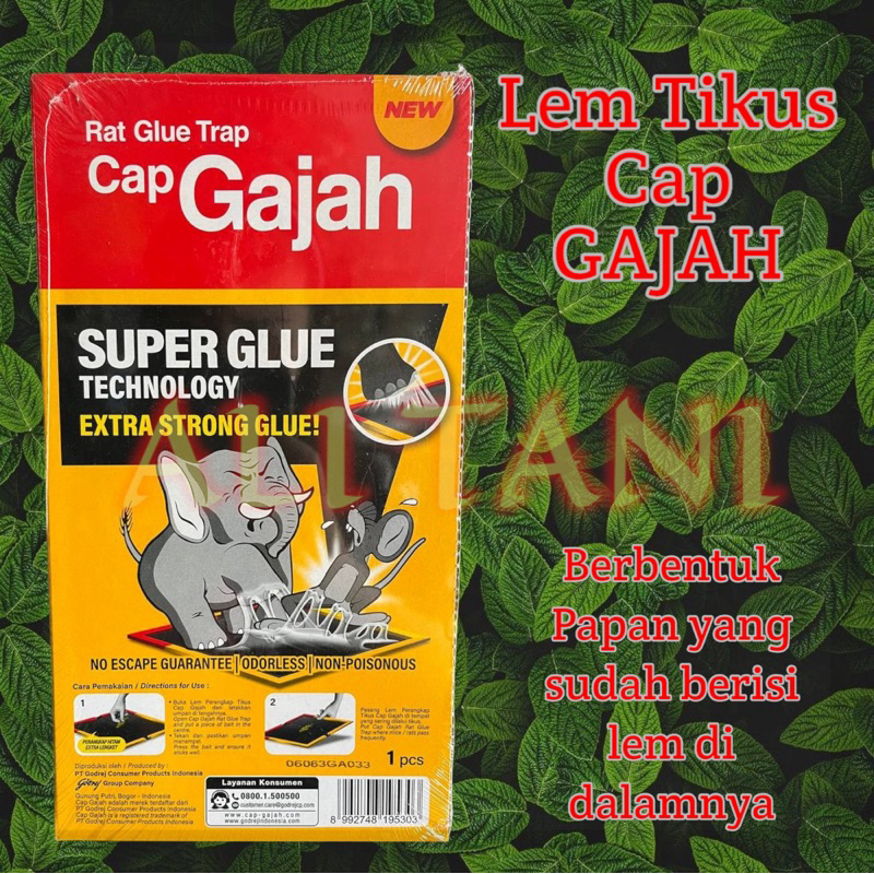 Lem Tikus Papan cap GAJAH Original