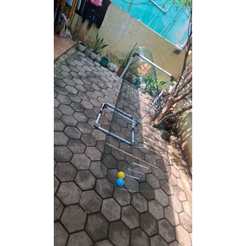 umbaran murai jungkat jungkit