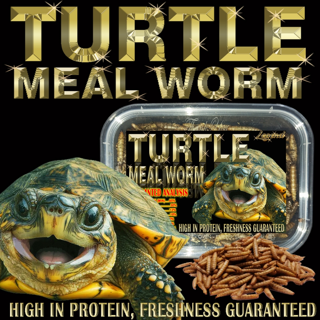 40GR TURTLE MEAL WORM MAKANAN KURA-KURA AIR PAKAN KURA BRAZIL RES CST AST MONBI RAZOR PICTA DAMER AM