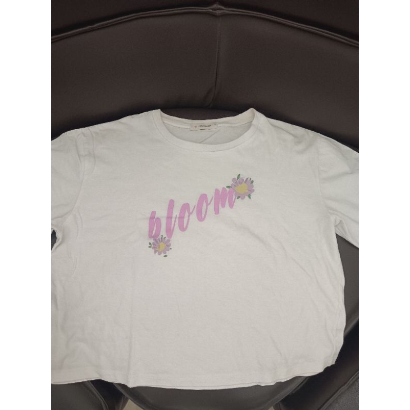 PRELOVED COLORBOX CROP TOP TEE - SIZE M
