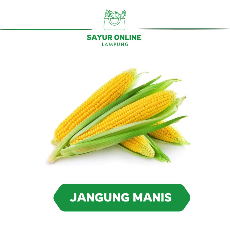 

Jagung Manis 3 pcs -Sayur Online Lampung