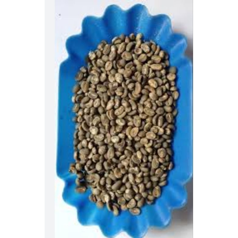 

500 biji kopi robusta Lampung