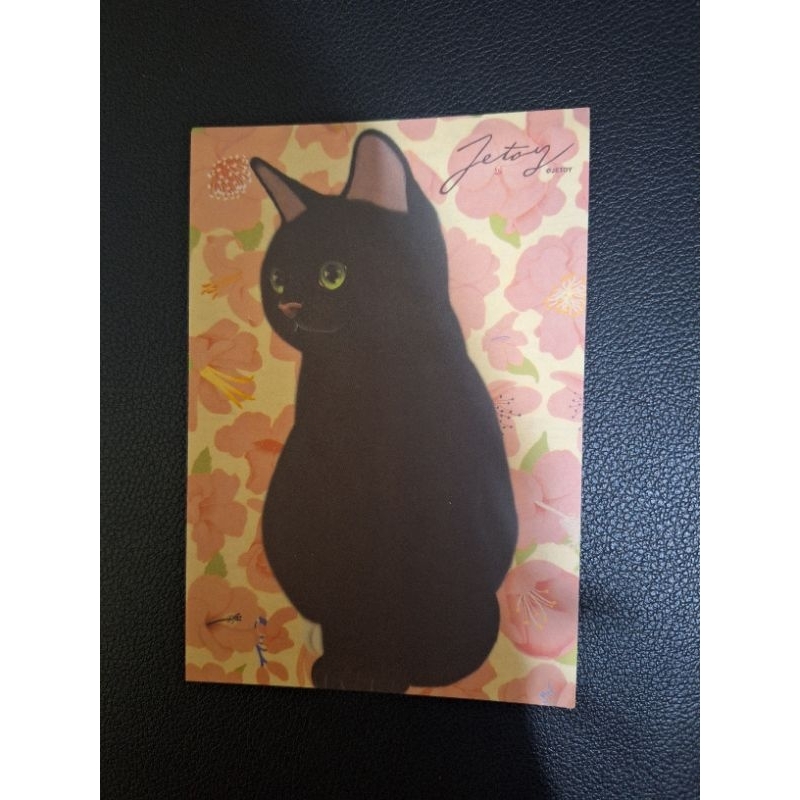 

kartu pos kucing jetoy/jetoy cat postcard