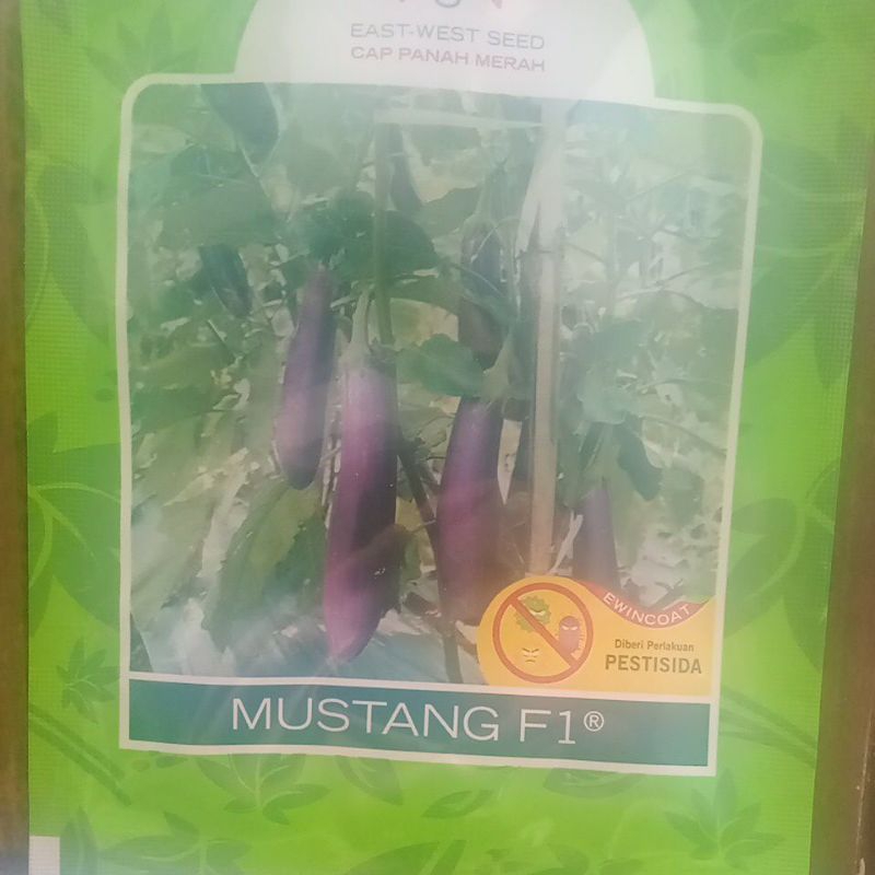 Benih terong ungu cap panah merah