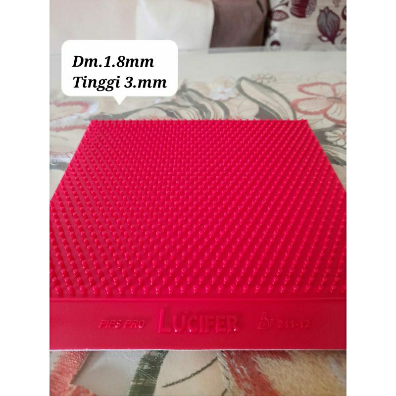 karet bintik panjang lucifer