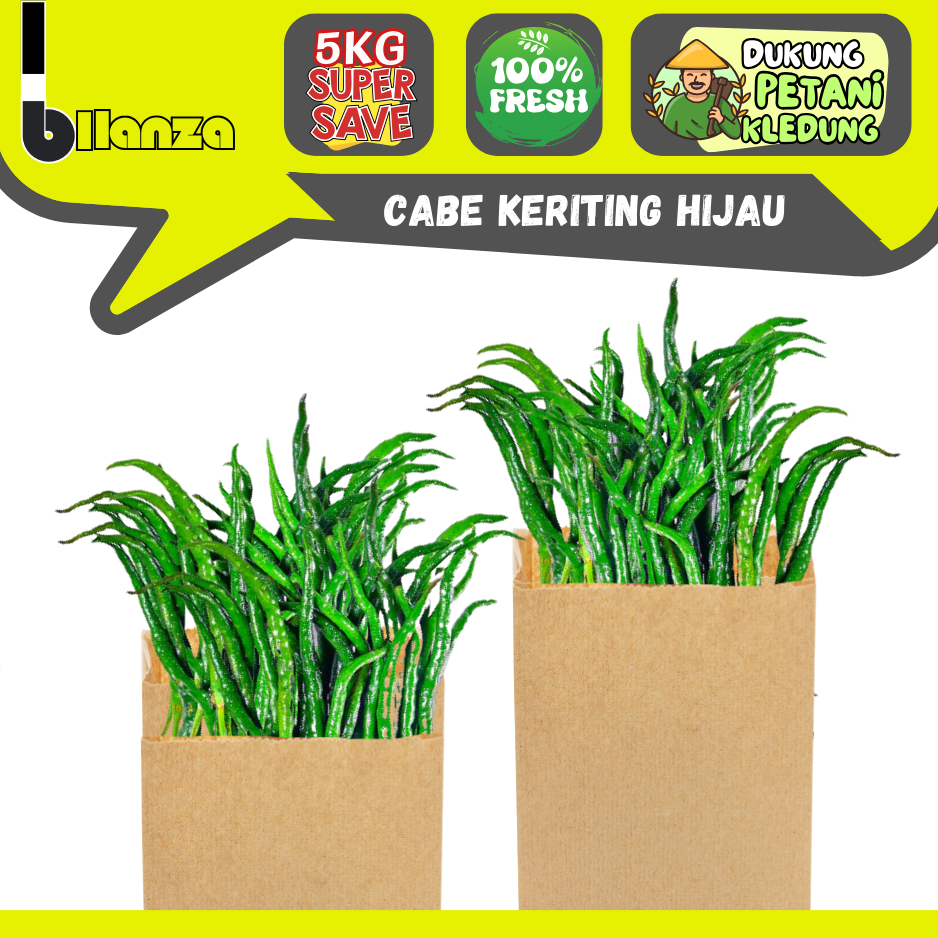 

Bllanza | Cabe Keriting Hijau — GROSIR Petani Sindoro Sumbing (C)