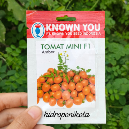KYS - Benih Tomat Cherry AMBER isi 50 biji - benih tomat mini known you seed