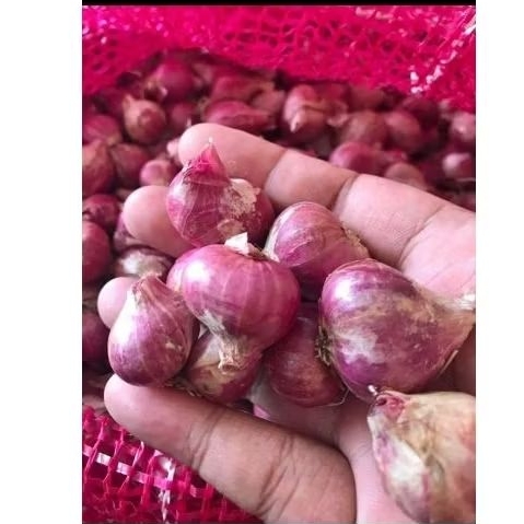 

Bawang Merah berat 1kg