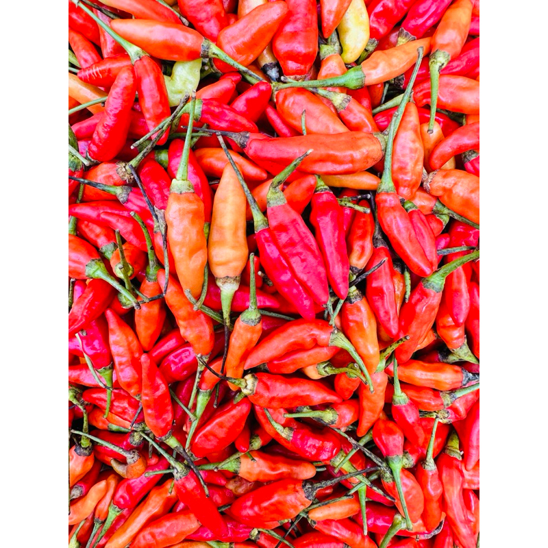 

CABE RAWIT ORI ( berat 500 gram ) ready