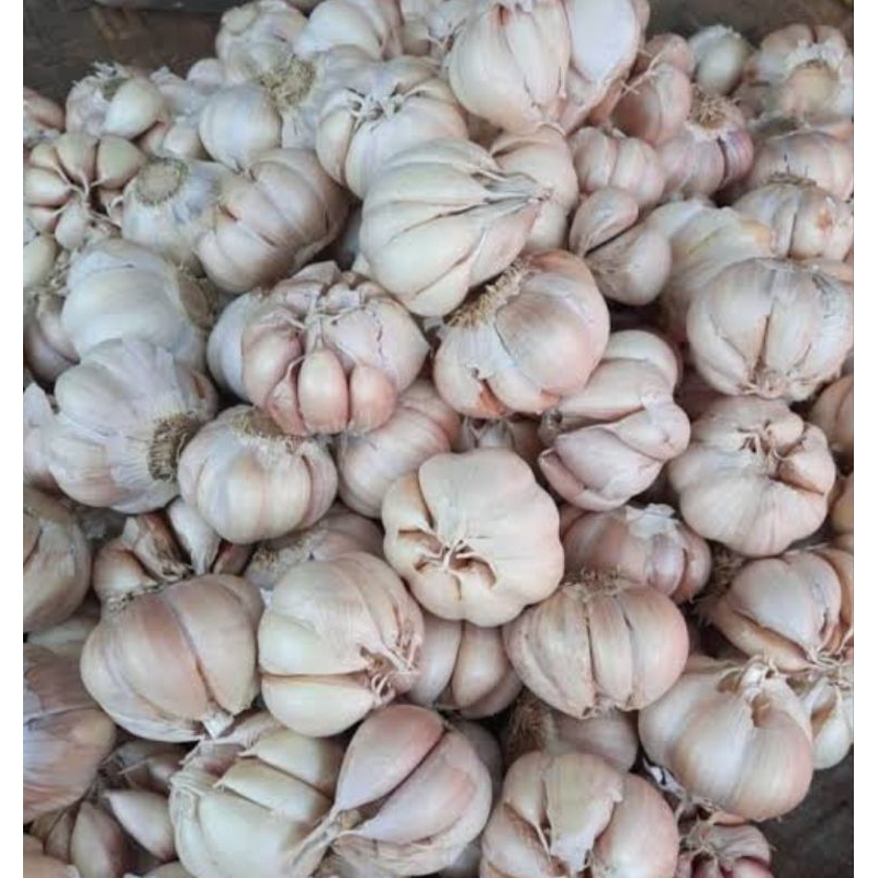 

Bawang Putih ½kg bagus