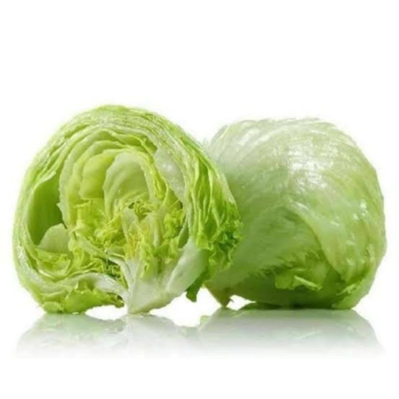 

SAYUR LETTUCE 1 KILO GRAM