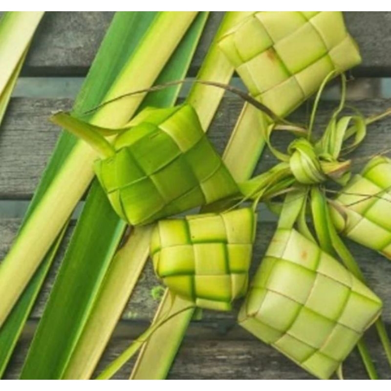 

Bungkus ketupat kosong