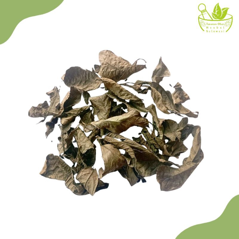 

Daun Keji Beling Kering (30 Gram)