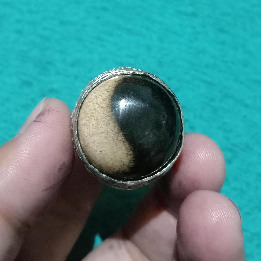 Cincin Batu Akik Fosil Galih Kelor Motif Yin Yang Asli Natural