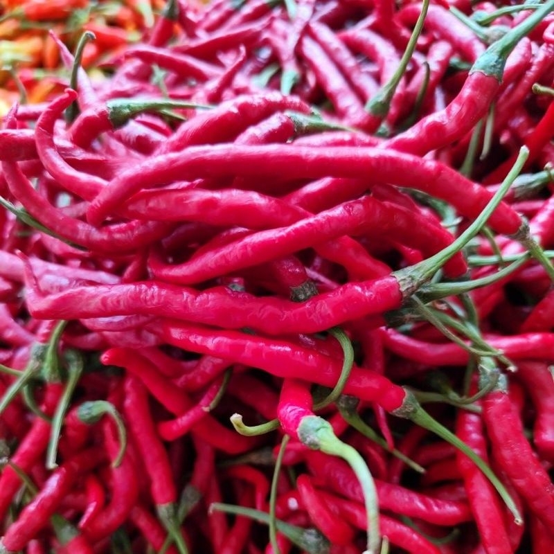

Cabe merah keriting segar & imperial 1000g Banyuwangi