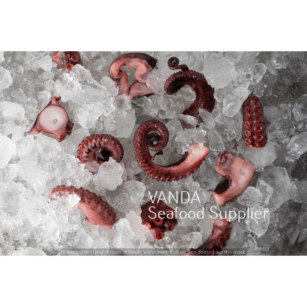 

Gurita Potong Octopus Cooked setengah matang Premium