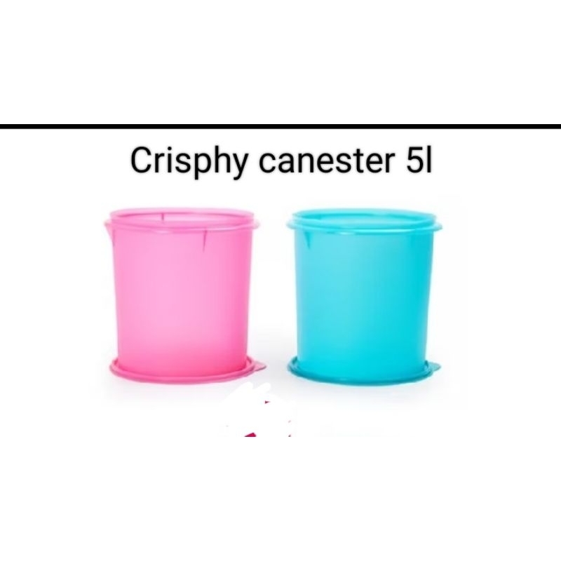 Base Large rice bowl Ungu and putih,Eleganzia buterfly hju,kuning,Tutup Maxi canester and Large rice