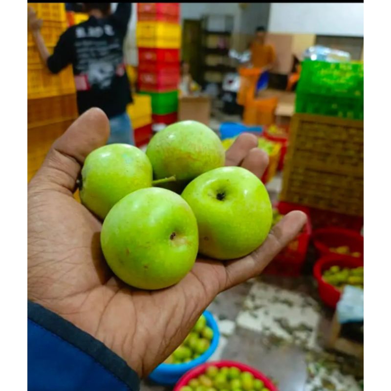 

(PROMO LANGSUNG PETANI) APEL MINI MANALAGI 1 KG (ISI 30-35)