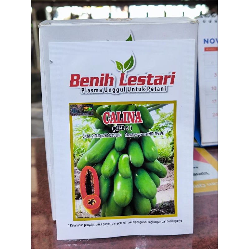 Benih bibit pepaya california CALINA IPB9 cap benih lestari