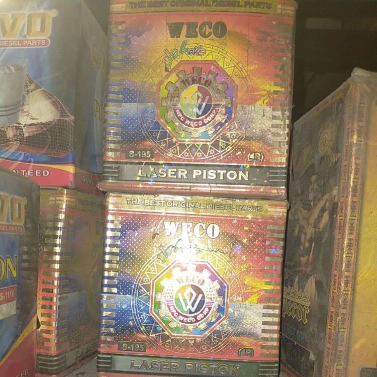 PISTON S195. SEHER DONGFENG S195 WECO