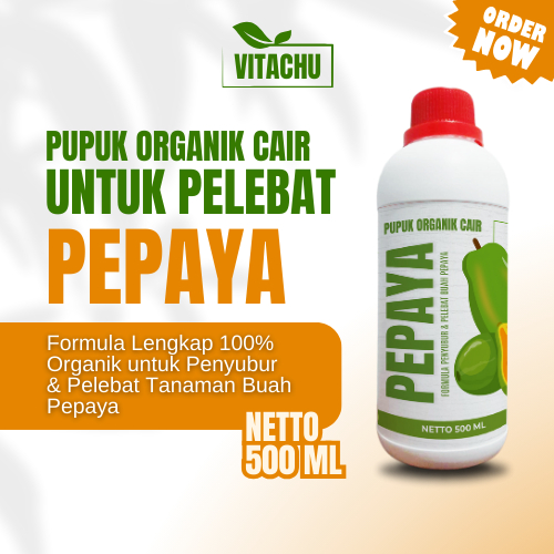 Pupuk Buah Pepaya Lebat Perangsang Buah Pepaya Pelebat Buah Pepaya Perangsang Pembuahan Pepaya