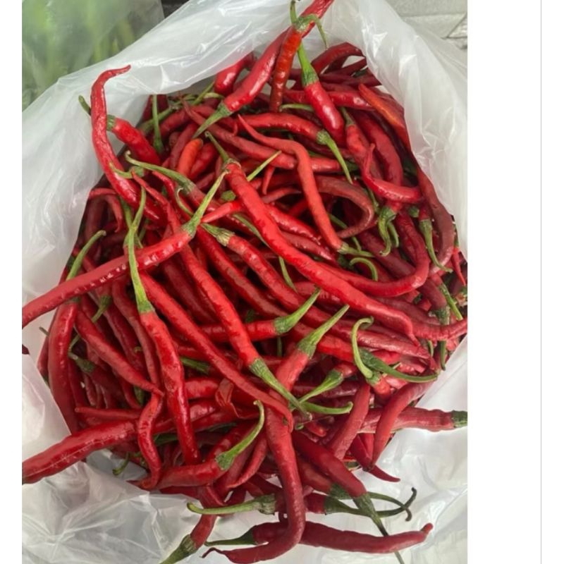 

cabe kriting merah 250 gr