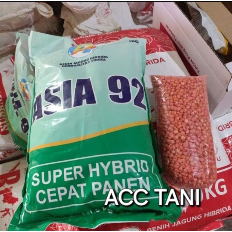 BENIH JAGUNG ASIA 92 REPACK/POLOSAN 1KG