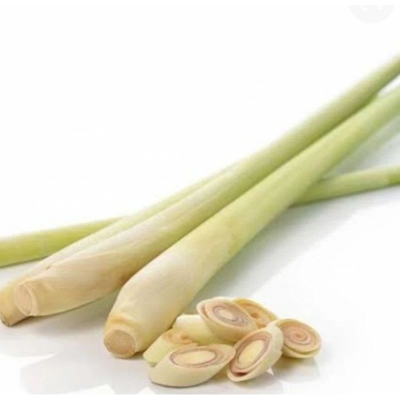 

SEREH BATANG DAUN 125gr