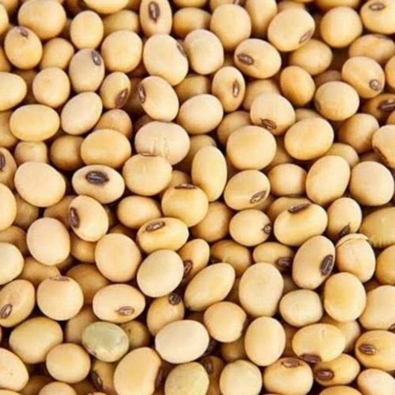 

Kacang Kedelai 500gr