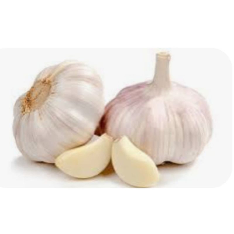 

BAWANG PUTIH BESAR DAN BERSIH RP 36.000 / KG