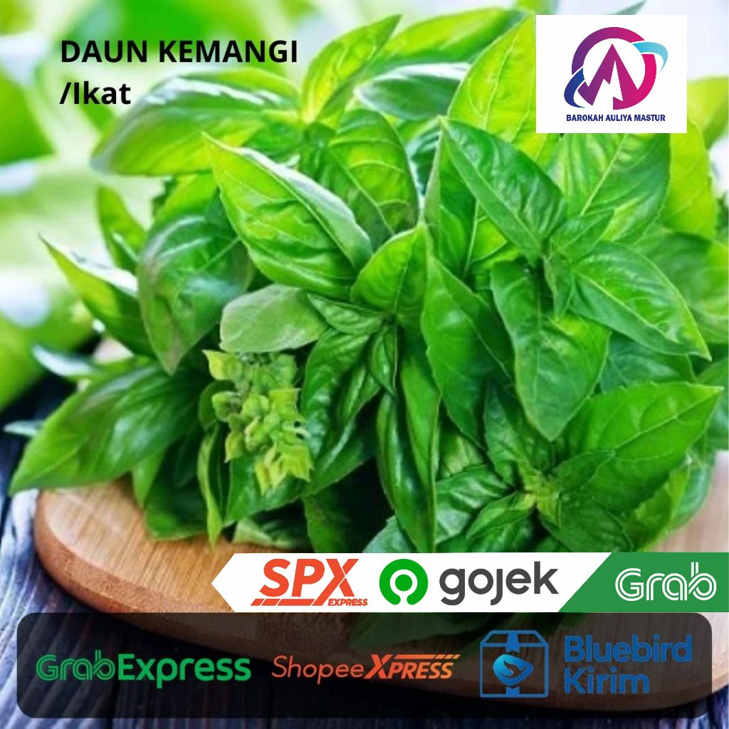 

KIRIM INSTAN Daun Kemangi per Ikat Lalapan Sayur BAM Olshop Padang