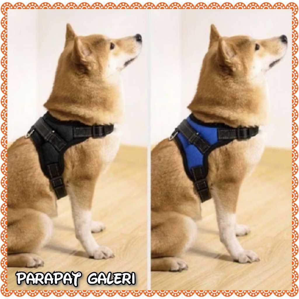 Harness Anjing - Rompi Tuntun Anjing Ras Besar - Breathable Harness Leash Anjing Besar