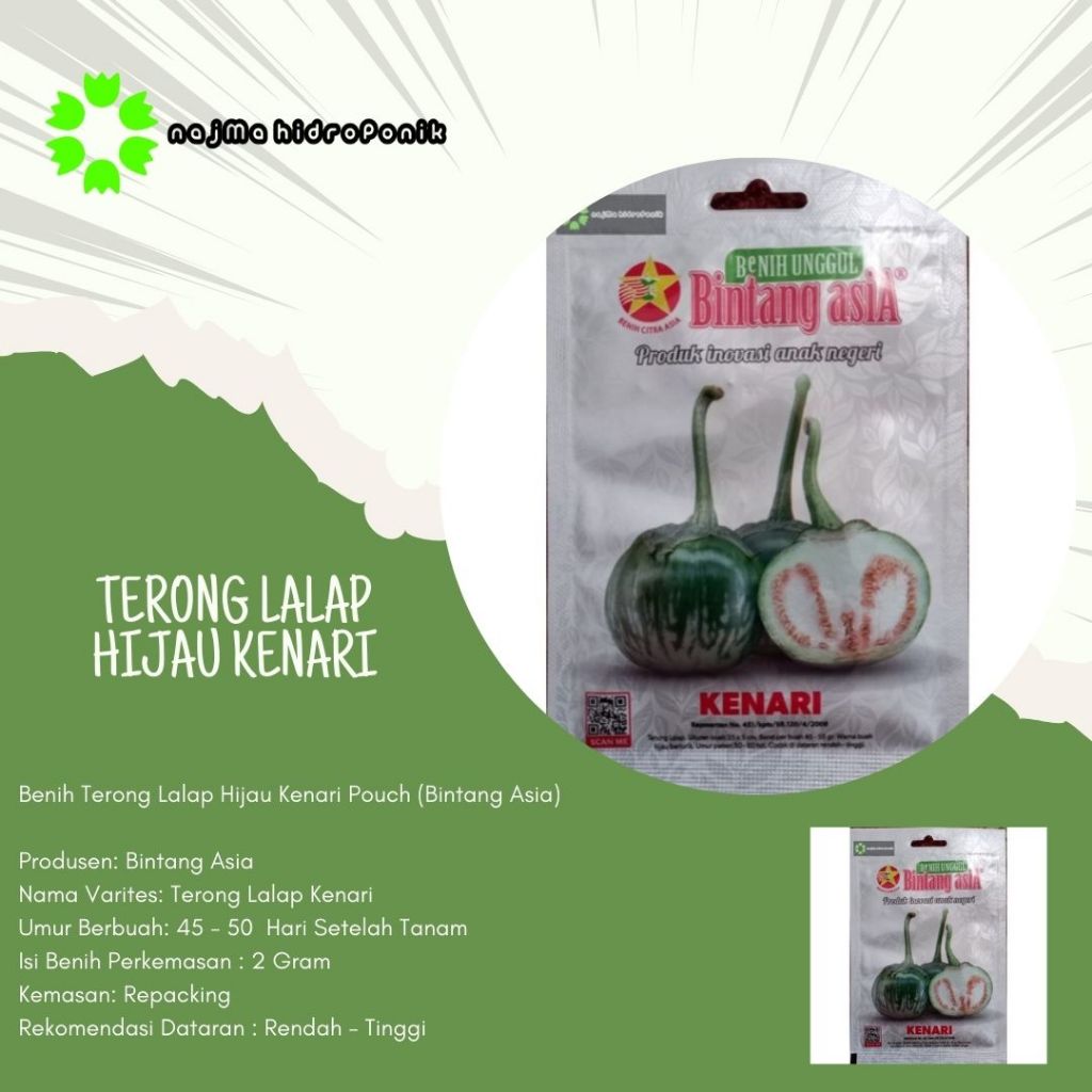 Benih Terong Lalap Hijau Kenari Pouch (Bintang Asia)