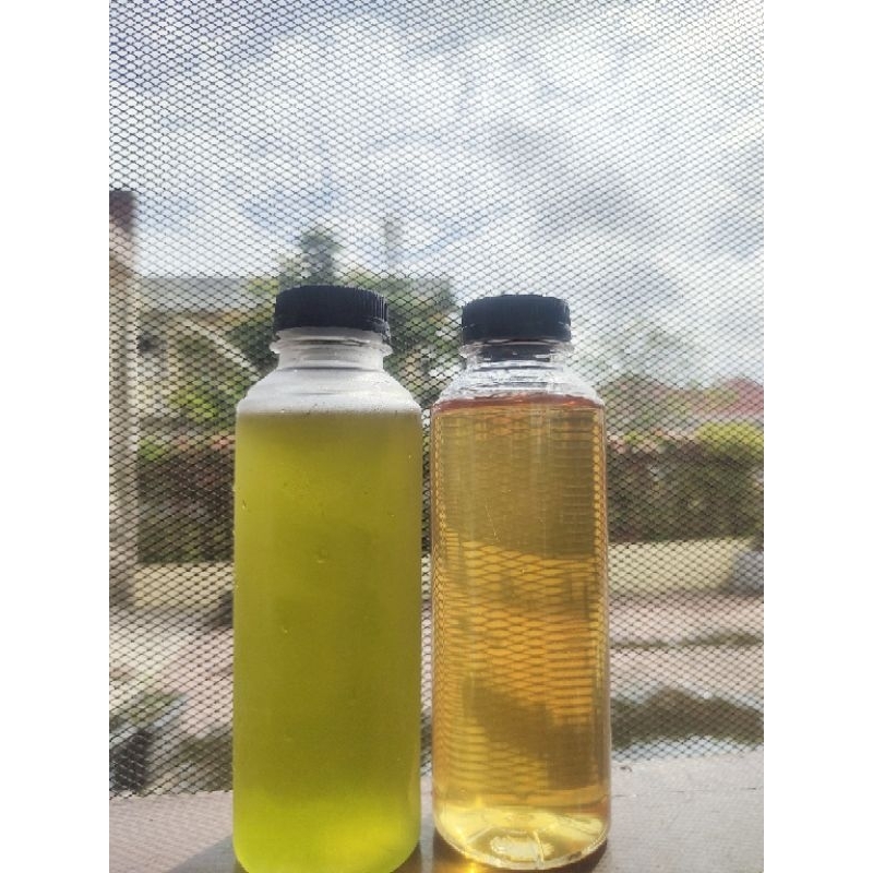 

kombuchalnyetea