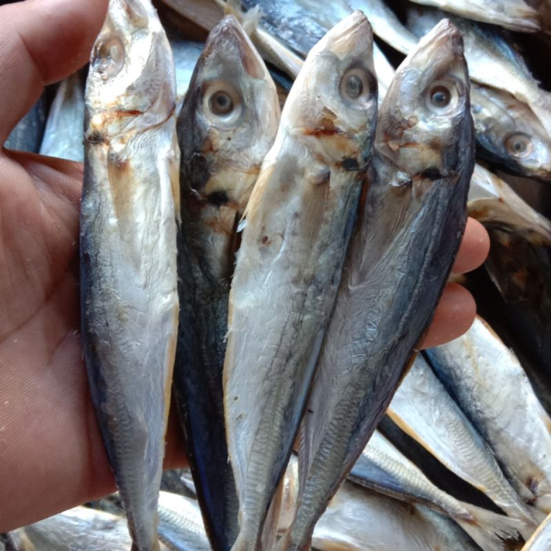 

ikan asin klotok/ikan asin layang kemasan 500 gram