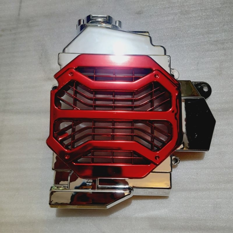 Cover Radiator Vario 110 Techno