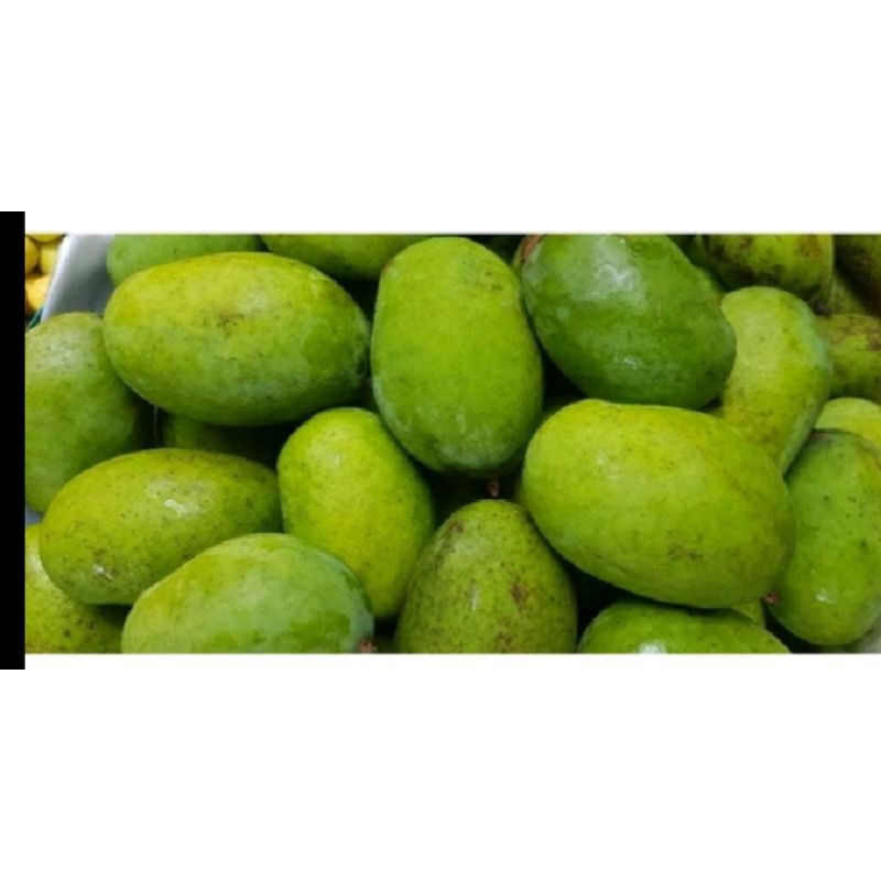 

Mangga Kweni 1 kg