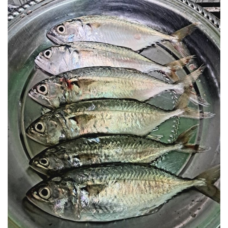 

Ikan Kembung Fress 1/2kg