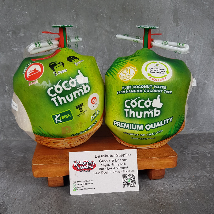 

HarvestMoon Buah Kelapa Coco Thumb Thailand per pcs