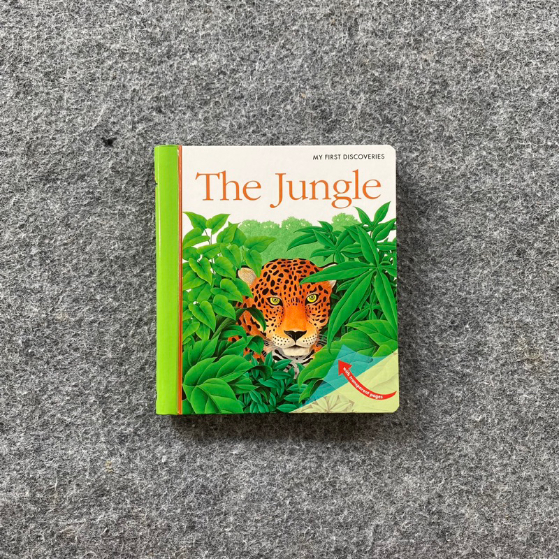 My First Discoveries the Jungle