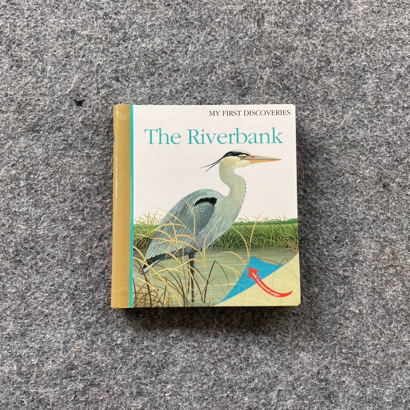 My First Discoveries The Riverbank