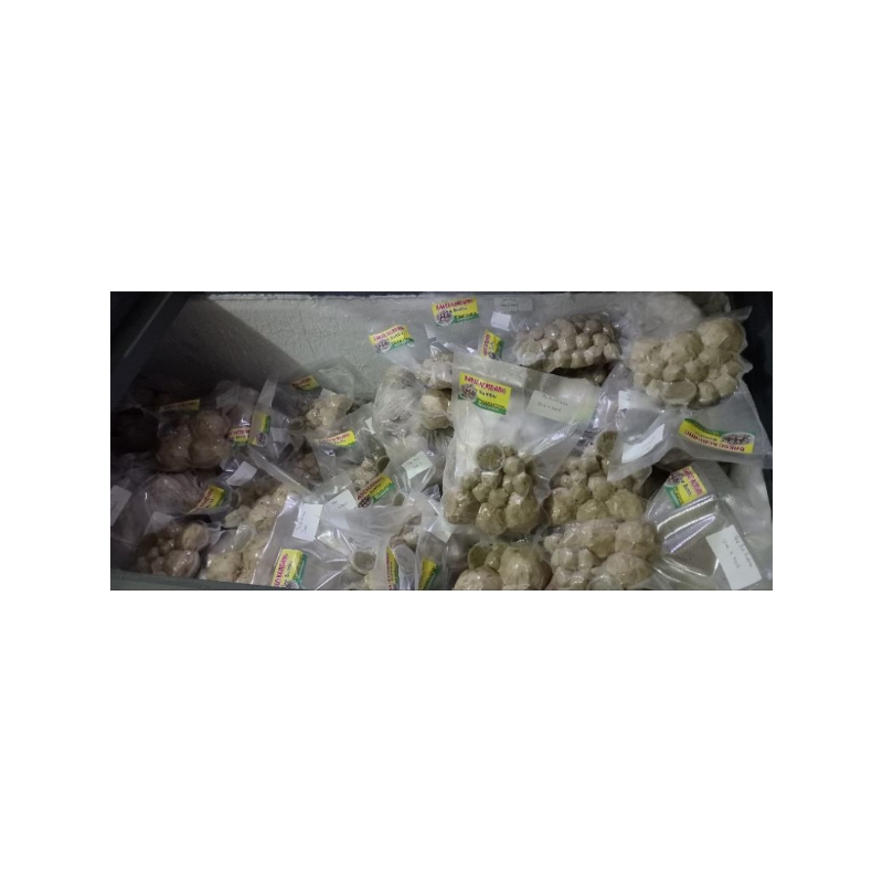 

bakso kecil frozen isi 30 free bumbu