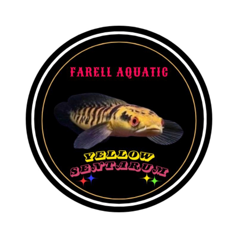 

Box Stiker channa yellow sentarum